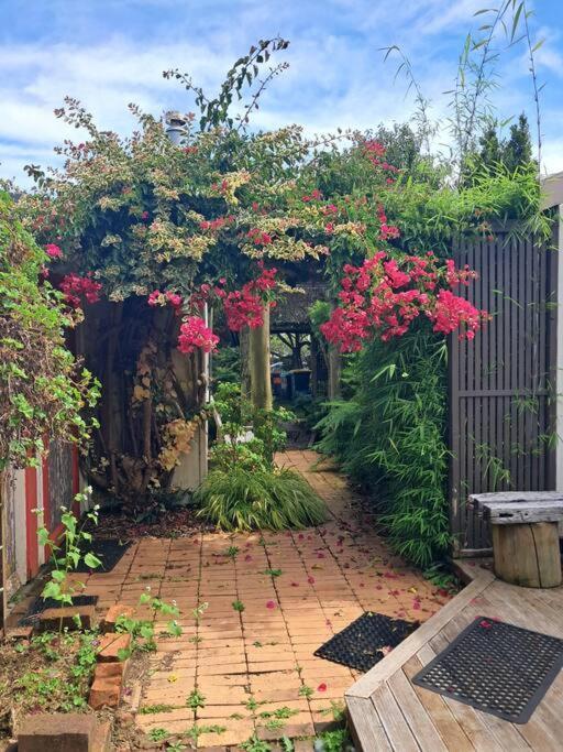Secret Cottage Waitara Luaran gambar