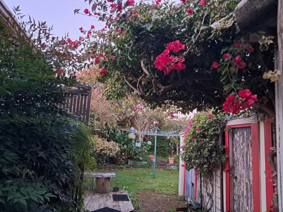 Secret Cottage Waitara Luaran gambar