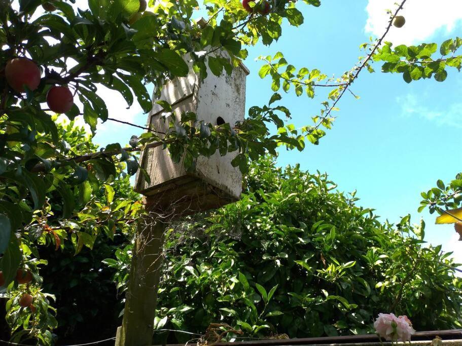Secret Cottage Waitara Luaran gambar