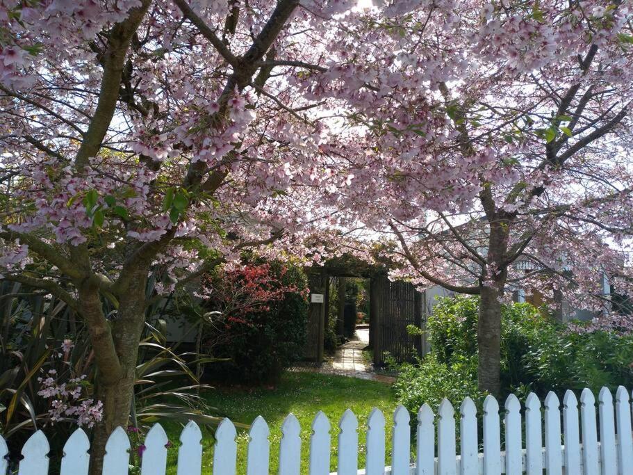 Secret Cottage Waitara Luaran gambar