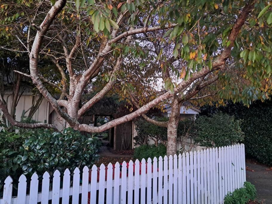 Secret Cottage Waitara Luaran gambar